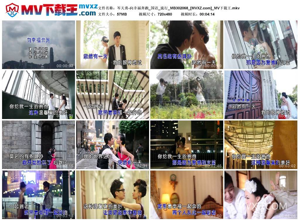 岑天勇-向幸福奔跑_国语_流行_MB302068